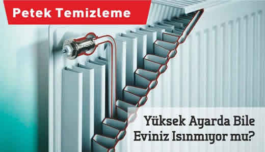 İzmit Petek Temizliği